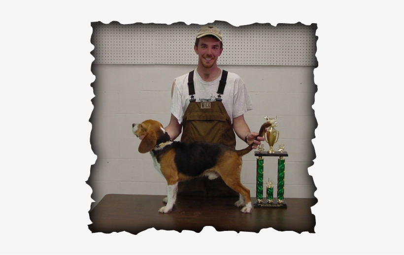 Hof Grch Andy's Cassidy Rambo - Ayungon Nhs, transparent png download