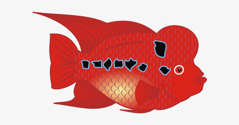 Free Vector Danz Flowerhorn Fish Clip Art - Flower Horn Fish Drawing, transparent png download