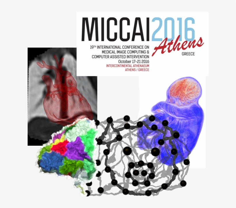 Rambo, Bacon And Pippi At Miccai'16 - Pajaros De Puerto Rico PNG Image ...