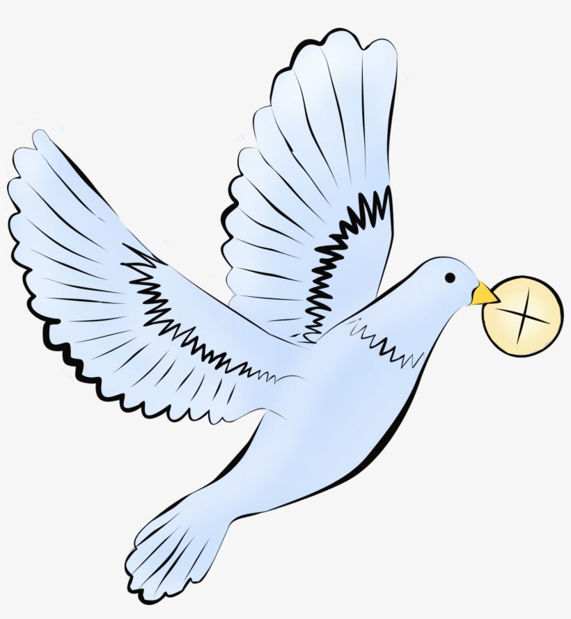 First Communion, transparent png download