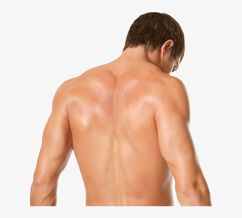 Man Hairless Back - Bella As A Werewolf, transparent png download