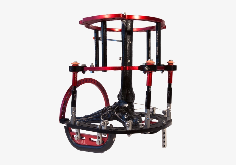 Dne Seal Circular Frame 19 - Party Bike, transparent png download