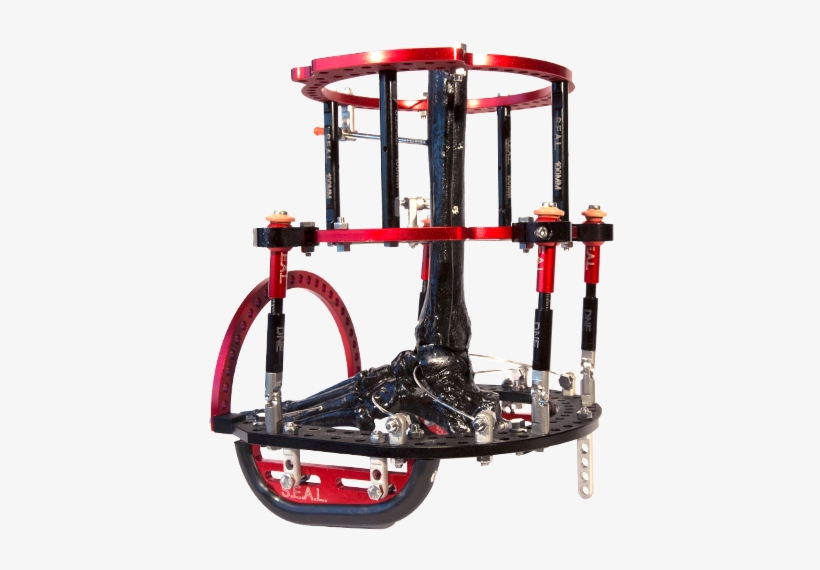 Dne Seal Circular Frame 20 - Boat, transparent png download