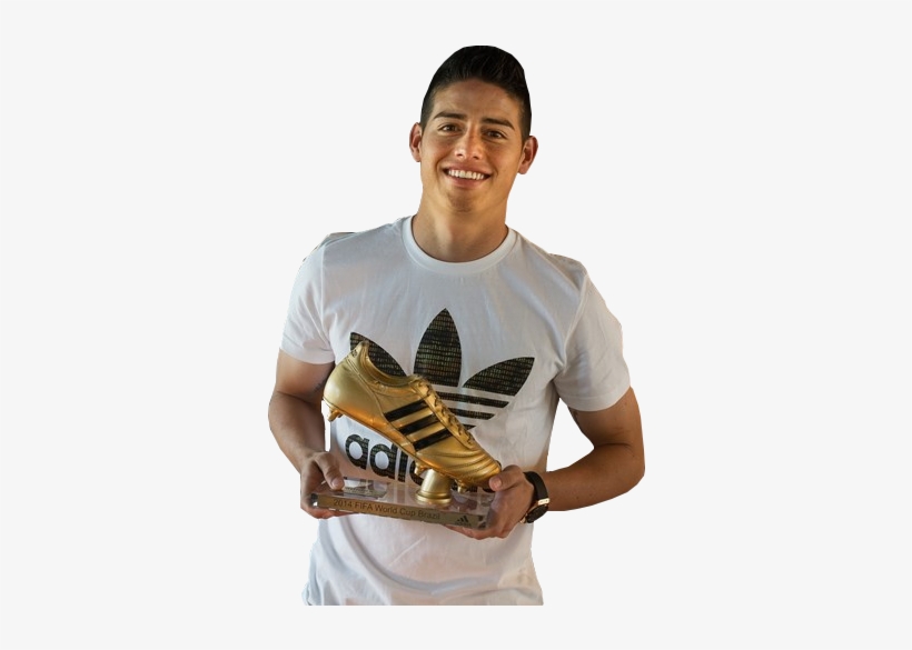 2014 fifa golden boot