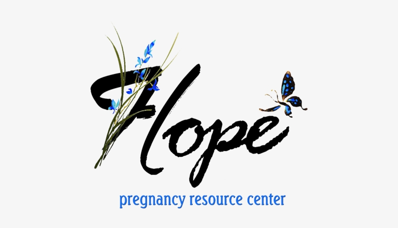 Information About Abortion And Alternatives To Abortion - Abortion, transparent png download