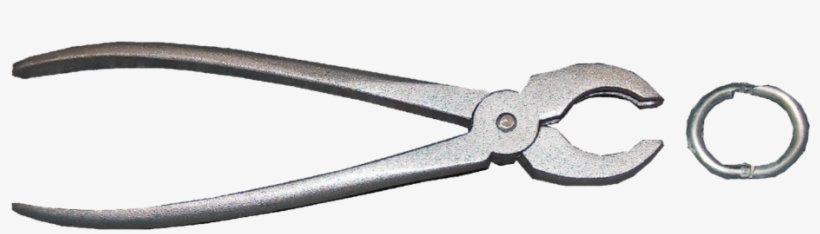 Nose Ring, transparent png download