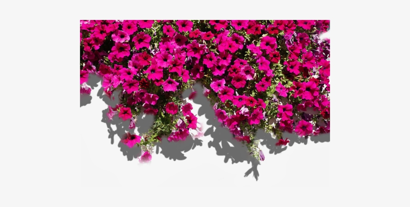 Share This Image - الحمد لله مل السماوات و الارض, transparent png download