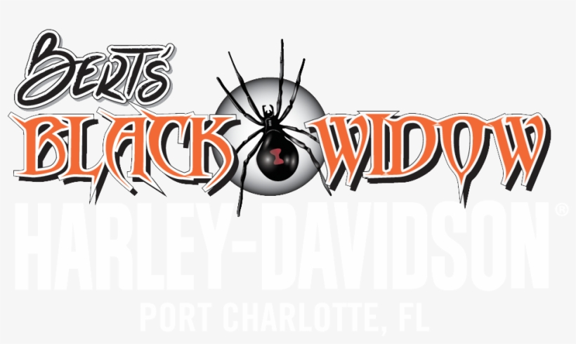 H D Bert's Black Widow Harley Davidson<sup>®</sup> - Bert's Black Widow Harley Davidson, transparent png download