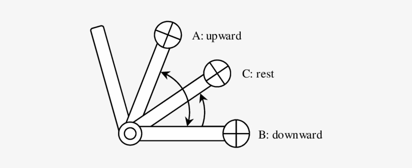 Enforcement Procedure For Seated Dumbbell Bicep Curls - Biceps Curl, transparent png download