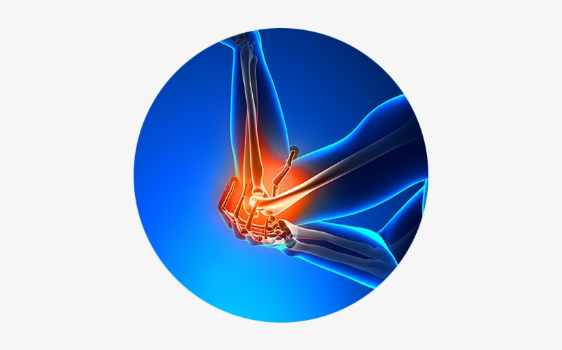 The Bicep Muscle Helps To Keep The Shoulder Steady - Elbow Pain Png, transparent png download