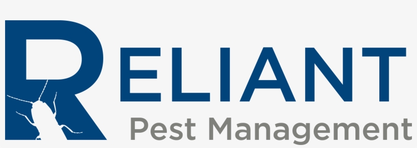 Image - Bryant School District, transparent png download