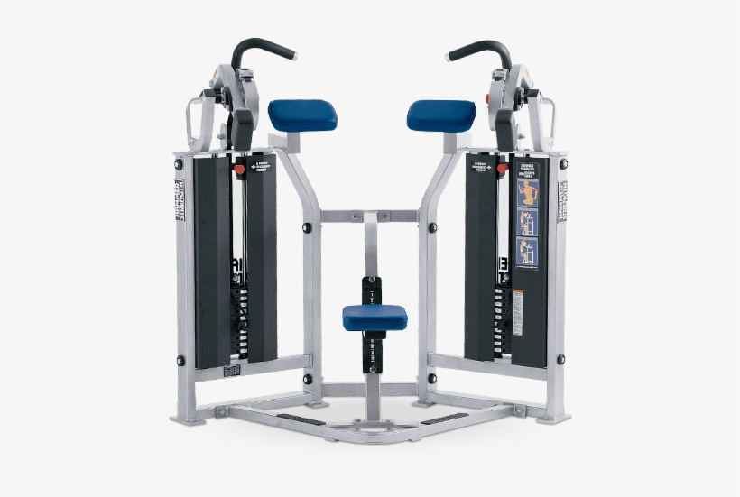 Hammer Strength Mts Bicep Curl, transparent png download