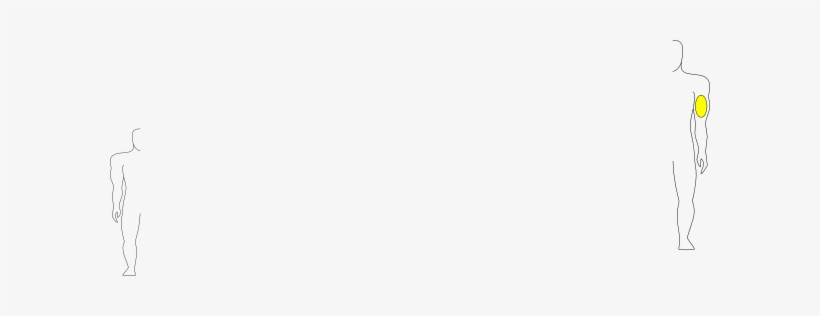 Small - Shirt, transparent png download