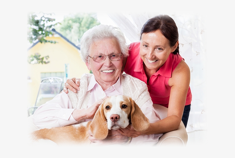 Based On A Customized Plan Developed With Each Client's - Homewell Senior Care Of Pima County, transparent png download