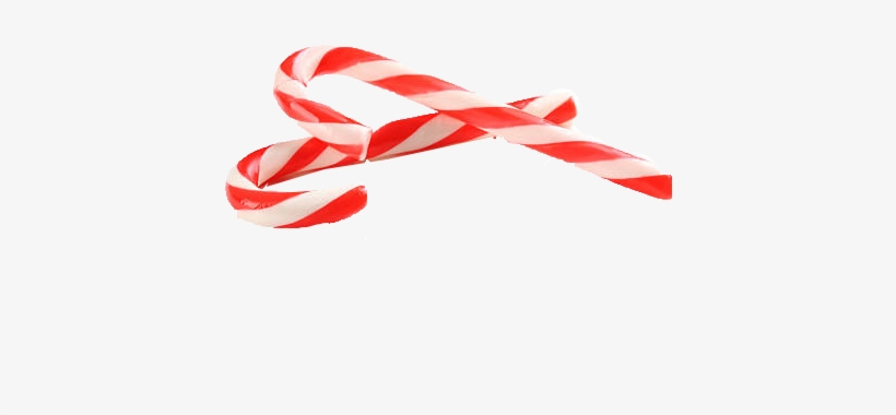 Photography, transparent png download