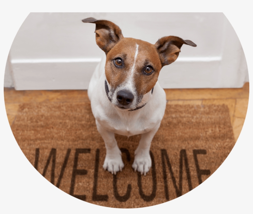 Welcome Home Puppy, transparent png download