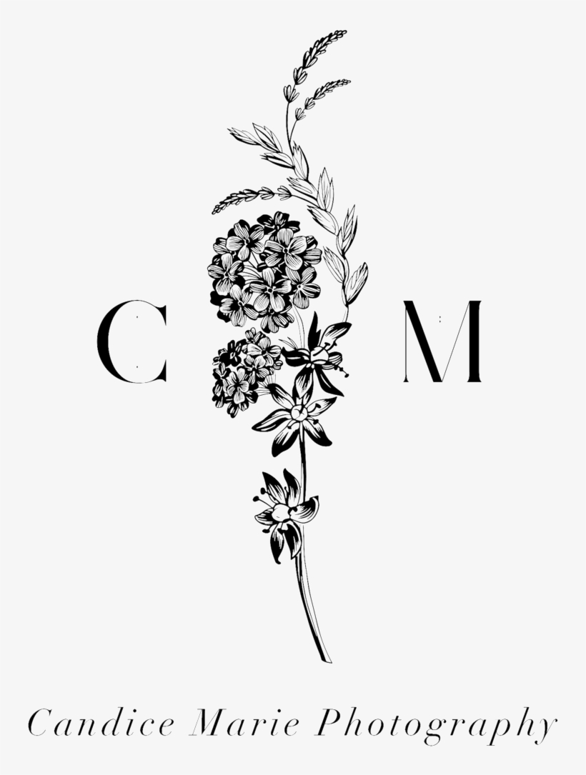 Logo Test 4 - Logo, transparent png download