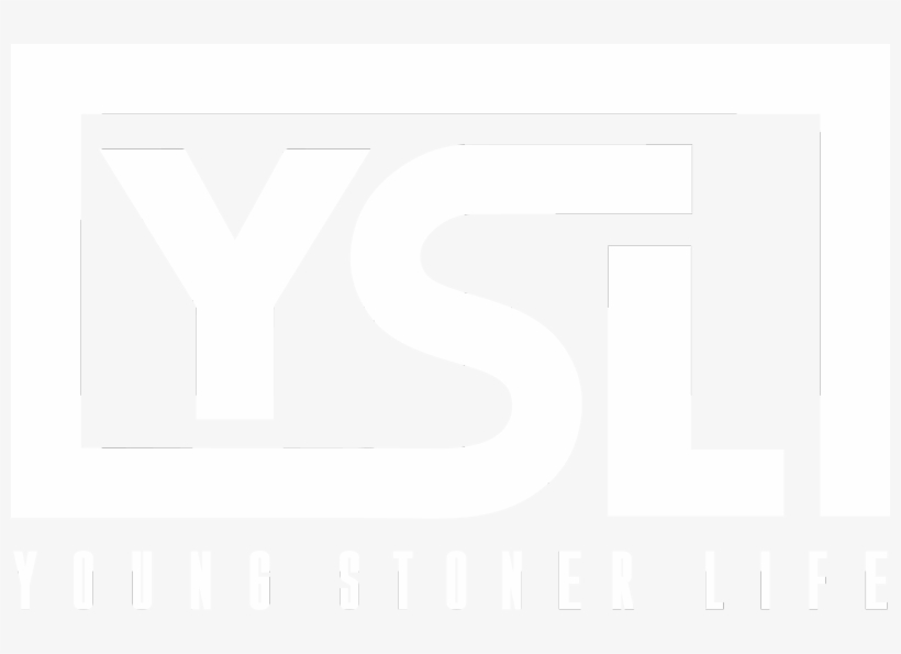 Young Thug I Came From Nothing, Hot Girls W, Paper - Line Art, transparent png download