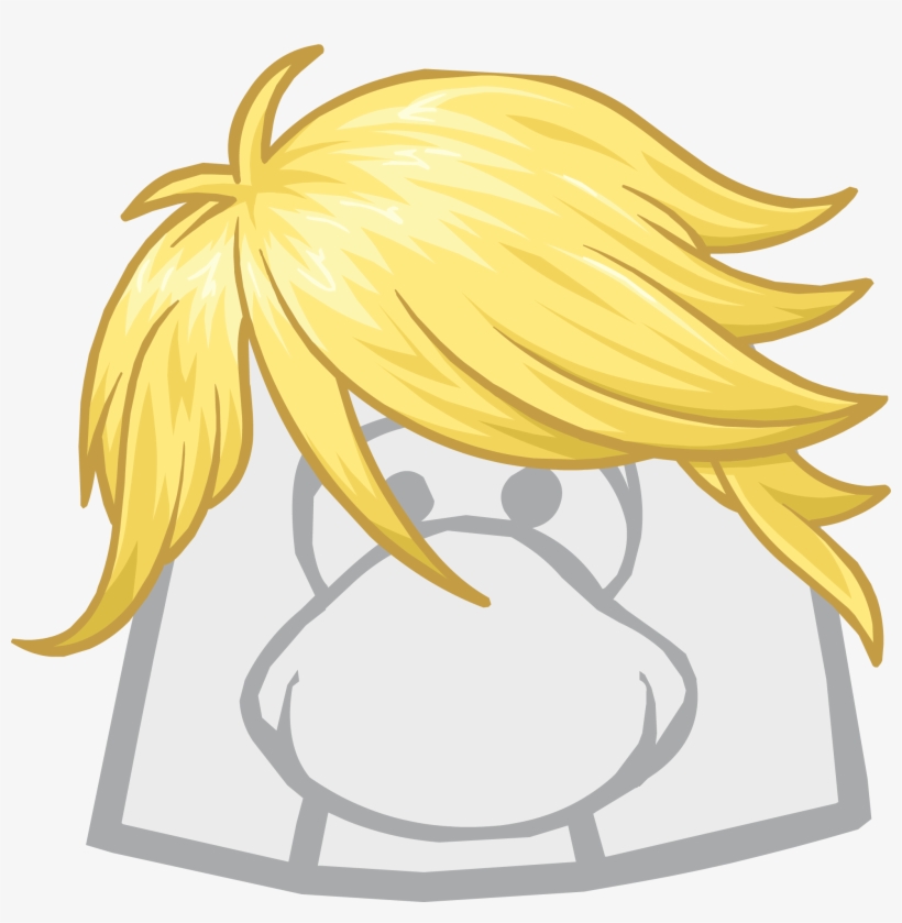 The Sweep Clothing Icon Id 1227 Updated - Club Penguin The Flip, transparent png download