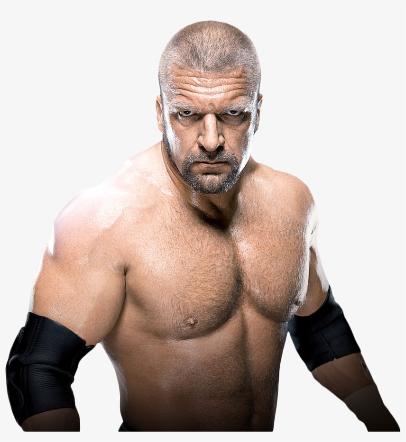 Triple H Png Download Image - Wwe 2014 Annual Dvd, transparent png download