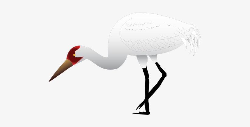 Ian Symbol Grus Americana 1 - Grus Americana, transparent png download