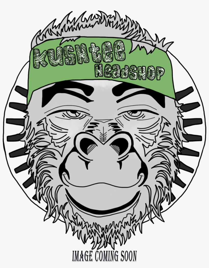 Ice Bag Set 5 Gallon, 5 Bag Set - Tea, transparent png download