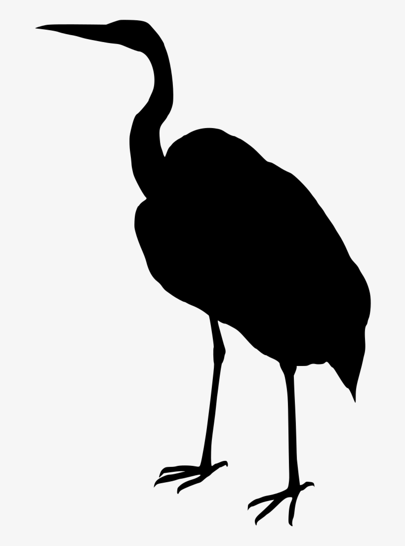 Download Png - Bird, transparent png download