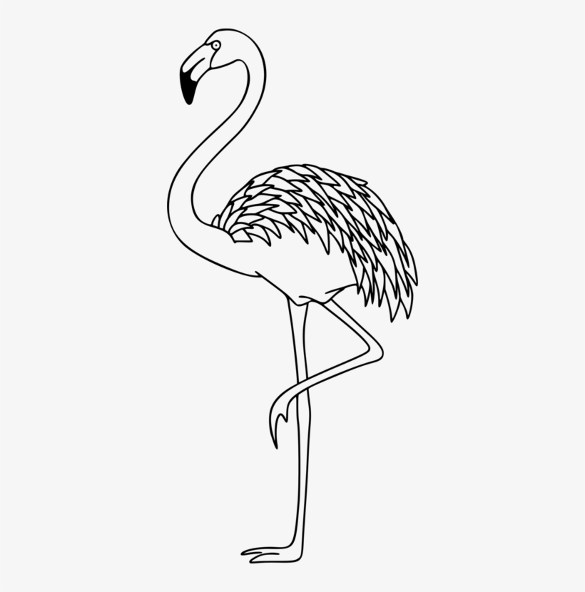 Crane Bird Beak /m/02csf Drawing - Clip Art, transparent png download