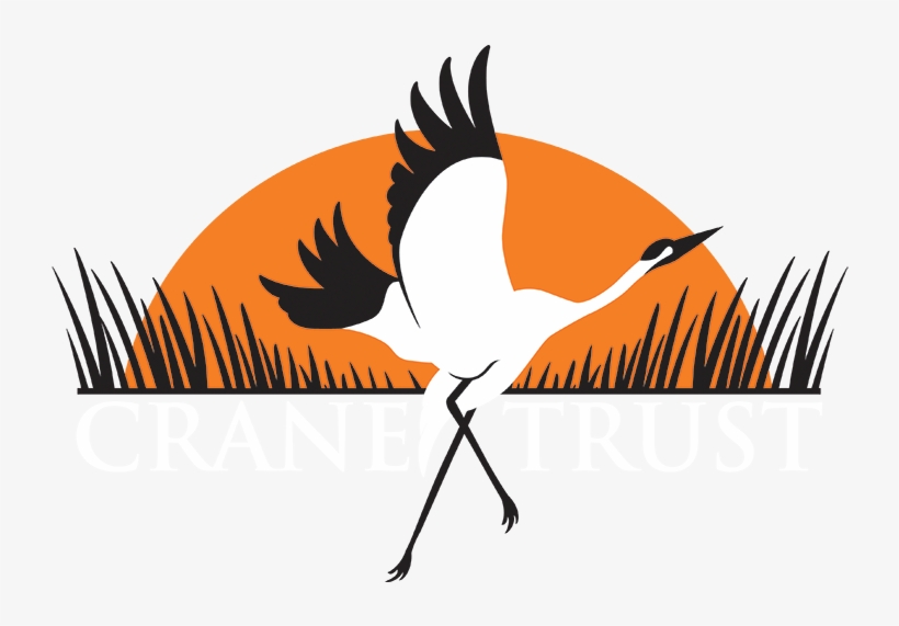 Crane Trust - Crane, transparent png download