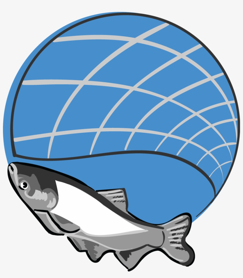 Site Banner Of Usfws Staff Electrofishing Acrcc Logo - Lucio Fontana Arabesco Fluorescente, transparent png download