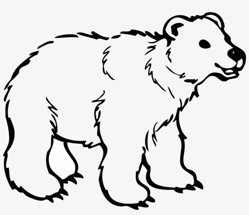 Polar Bear American Black Bear Giant Panda Grizzly - Colouring Pages Of Bear, transparent png download