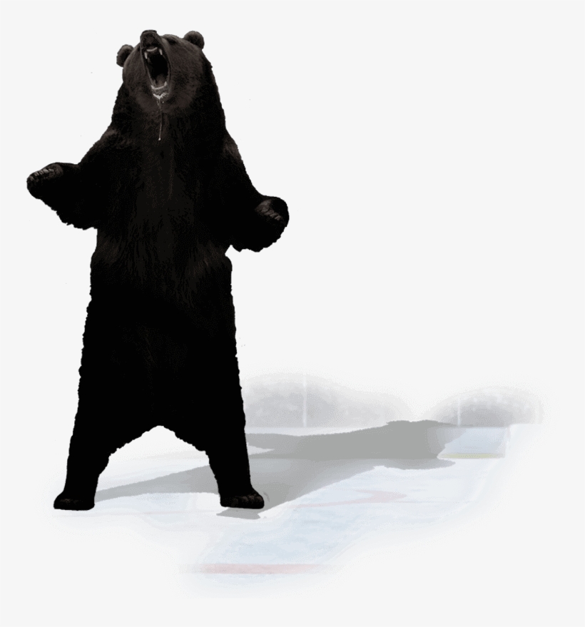 Punxsutawney Phil, transparent png download