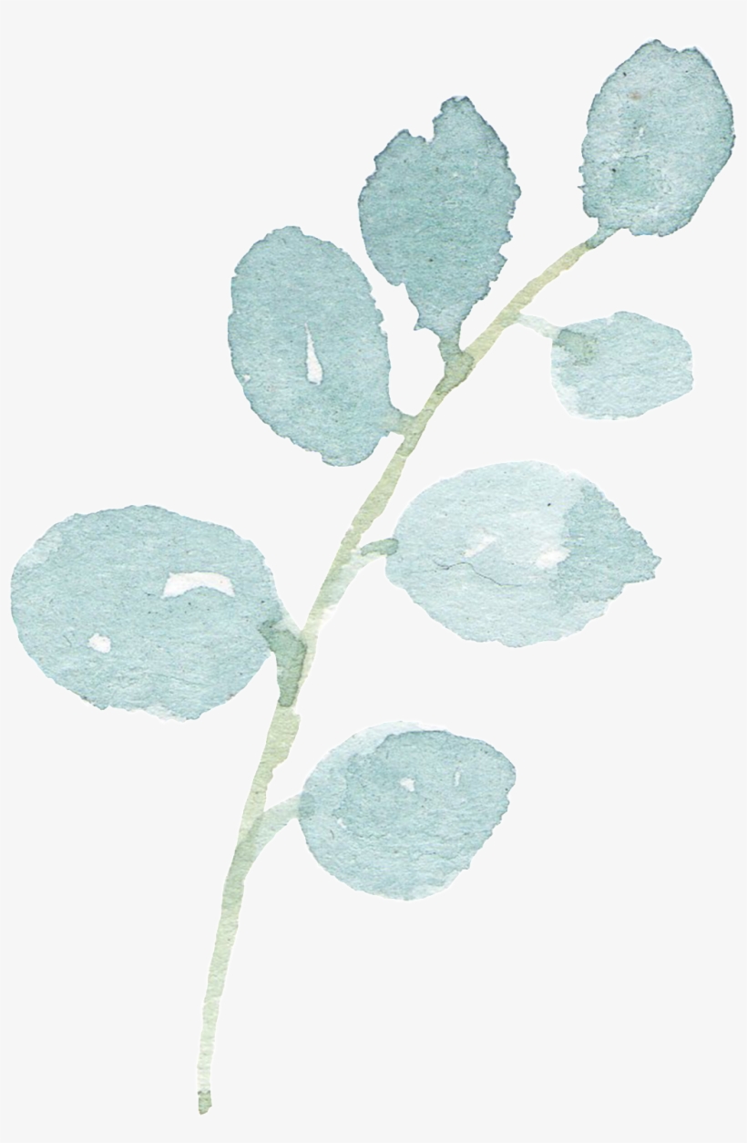 Simple Hand-painted Branches Of A Branch Watercolor - 水彩 顏料 棕 Png, transparent png download