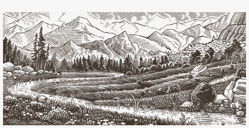 Farmed Animals - Animal Legal Defense Fund, transparent png download