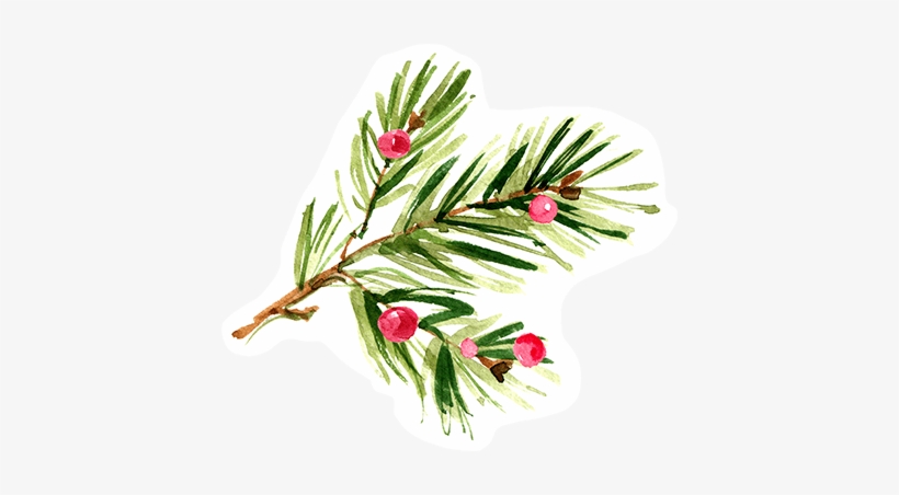 Wannemaker's Winter Wonderland Makes The Season Bright - Pinecone Pattern Luncheon Napkins 240 Ct, transparent png download