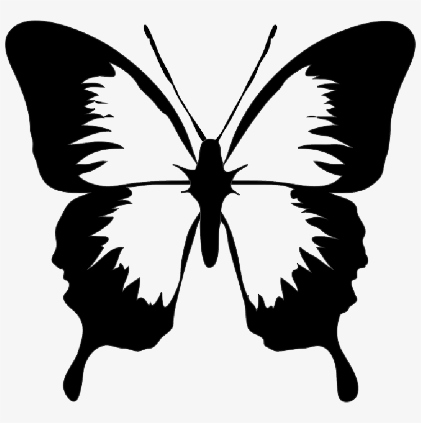 Mb Image/png - Butterfly Clip Art, transparent png download