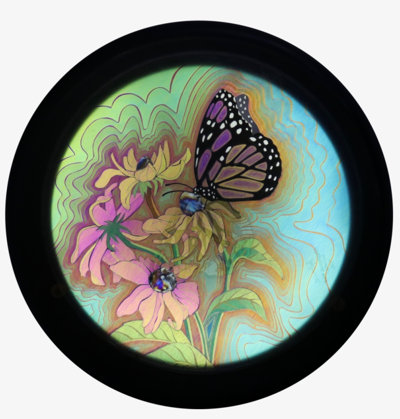 Spreding Your Wings - Monarch Butterfly, transparent png download