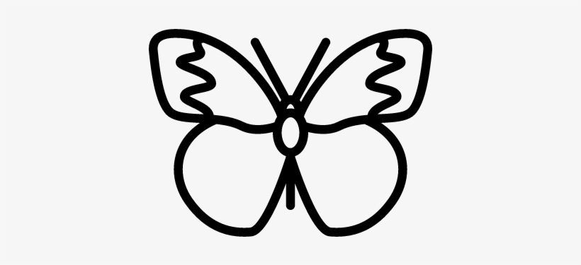 Butterfly With Big Wings Vector Butterfly Png Image
