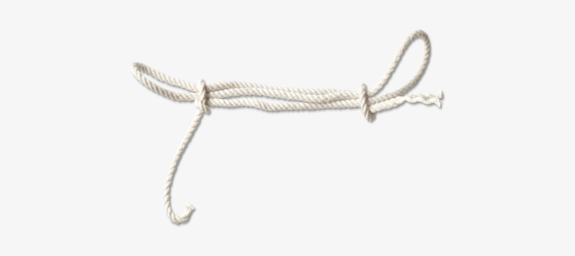 Download - Bead, transparent png download