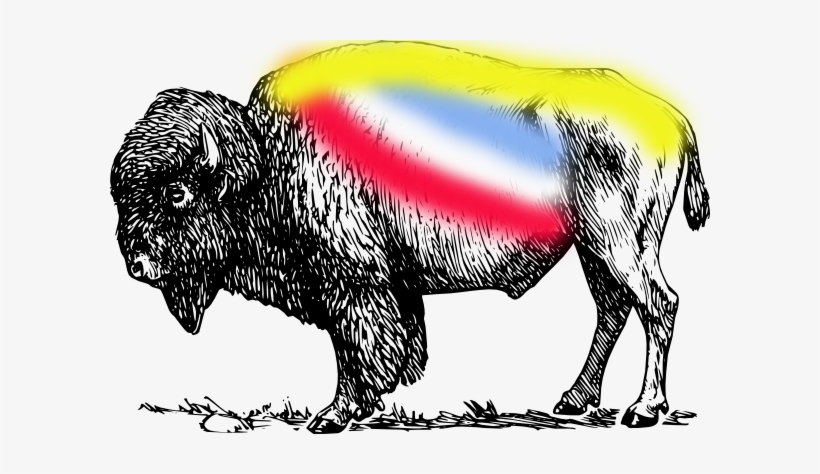31 Jan 2010 - Wild & Free (bison) Wall Clock - By Zeke Tucker, transparent png download