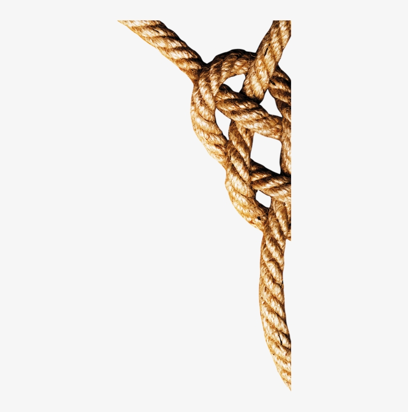 Enjoy The Gold Coast Xo Barbados Rum - Mojito Recipe, transparent png download