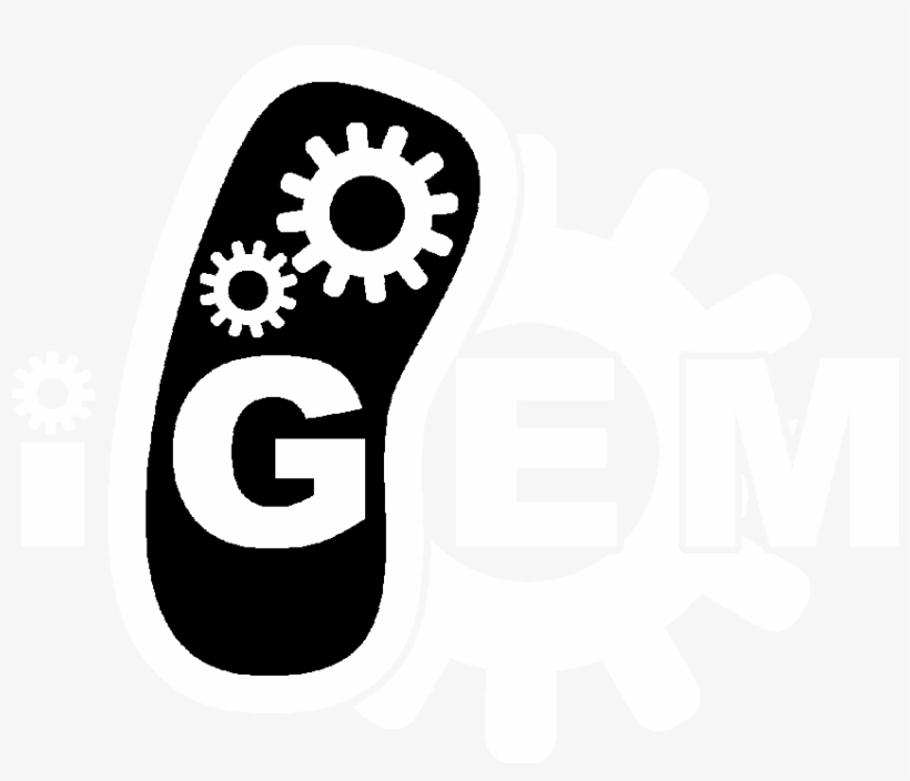 Team - Toronto - .org, transparent png download