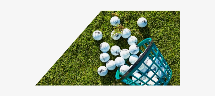 Oman, transparent png download