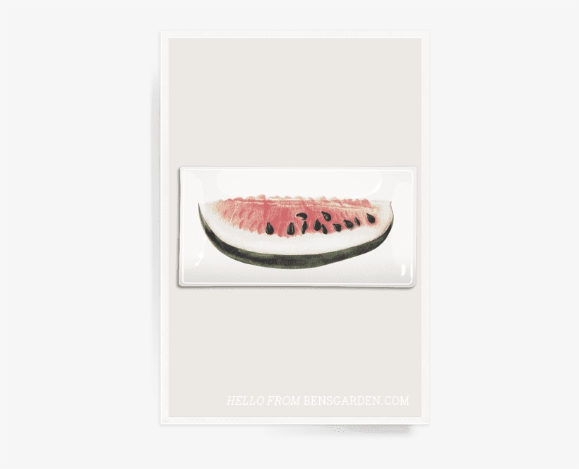Bens Garden - Watermelon, transparent png download