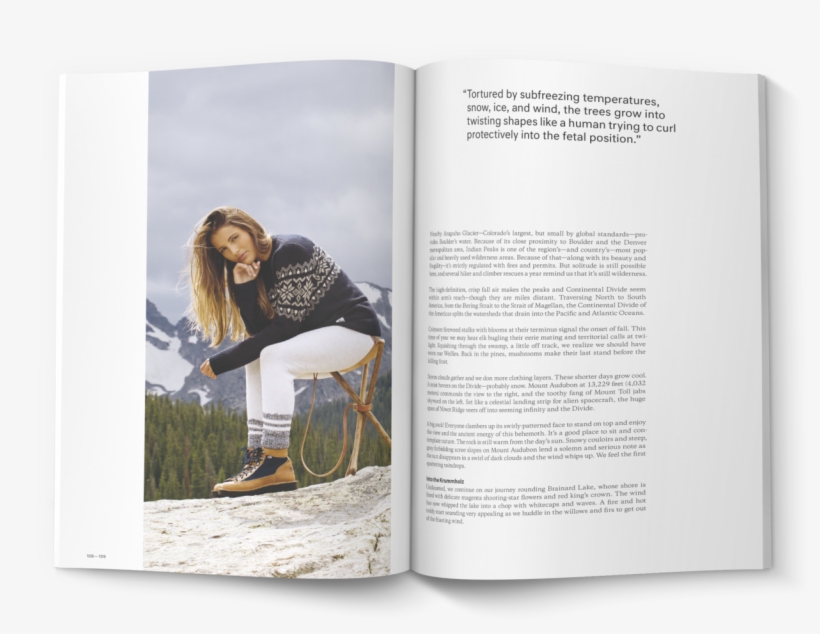 Am Issue 04 Alpine Modern - Science Book, transparent png download