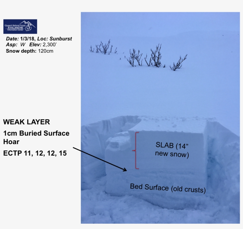 Runnels From The Rain Exists Around 1,600' - Snow, transparent png download