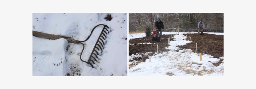 Picture - Snow, transparent png download