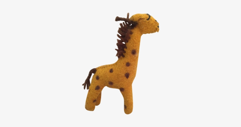 Baby Giraffe - Giraffe, transparent png download