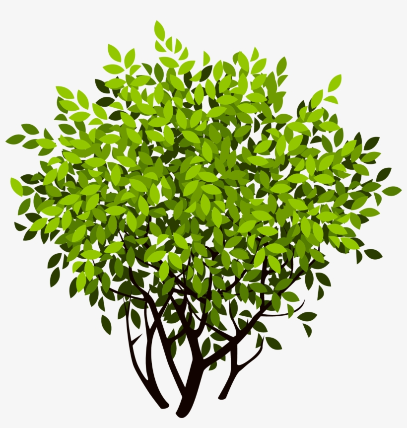 Bush 2583*2038 Transprent Png Free Download - Bush Vector Png, transparent png download