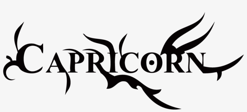 Picture - Cayo Costa State Park, transparent png download